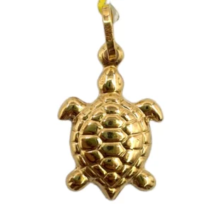 Tortoise Charm