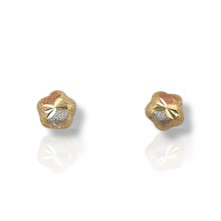 Star Earrings