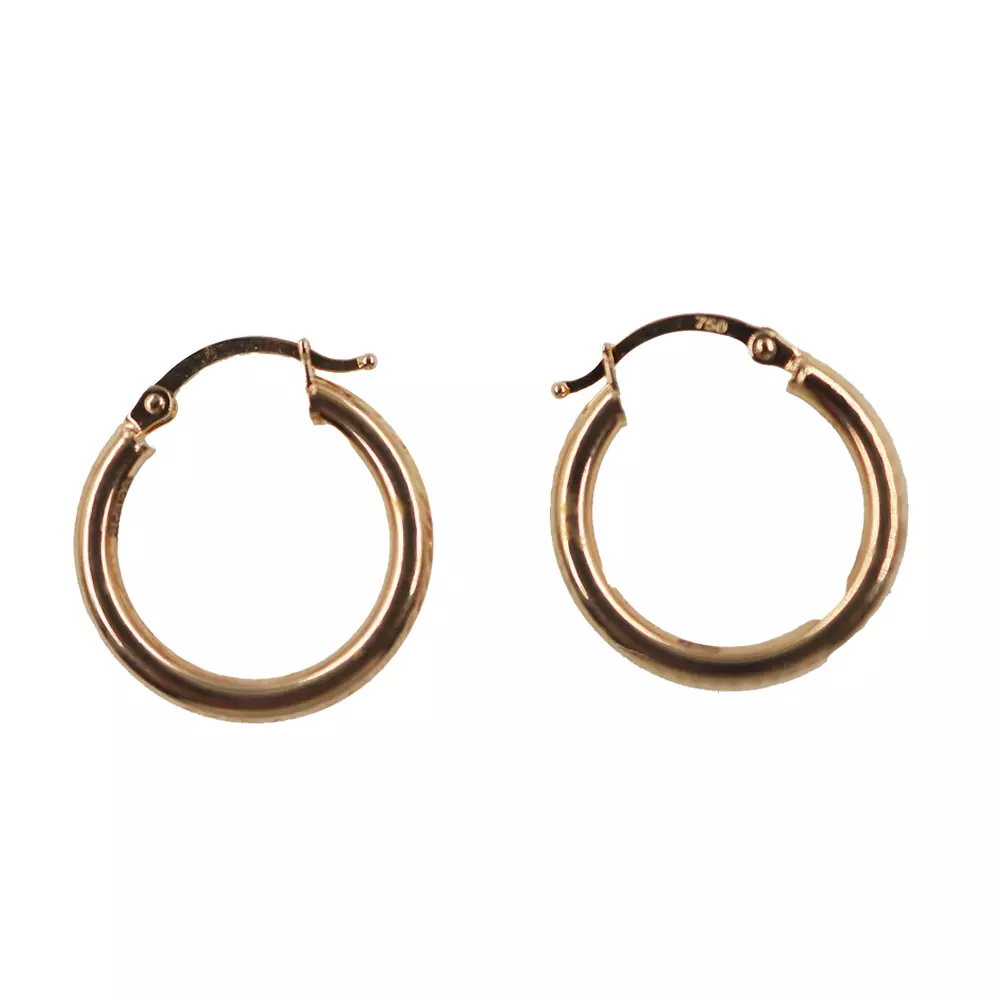 Loop Earrings