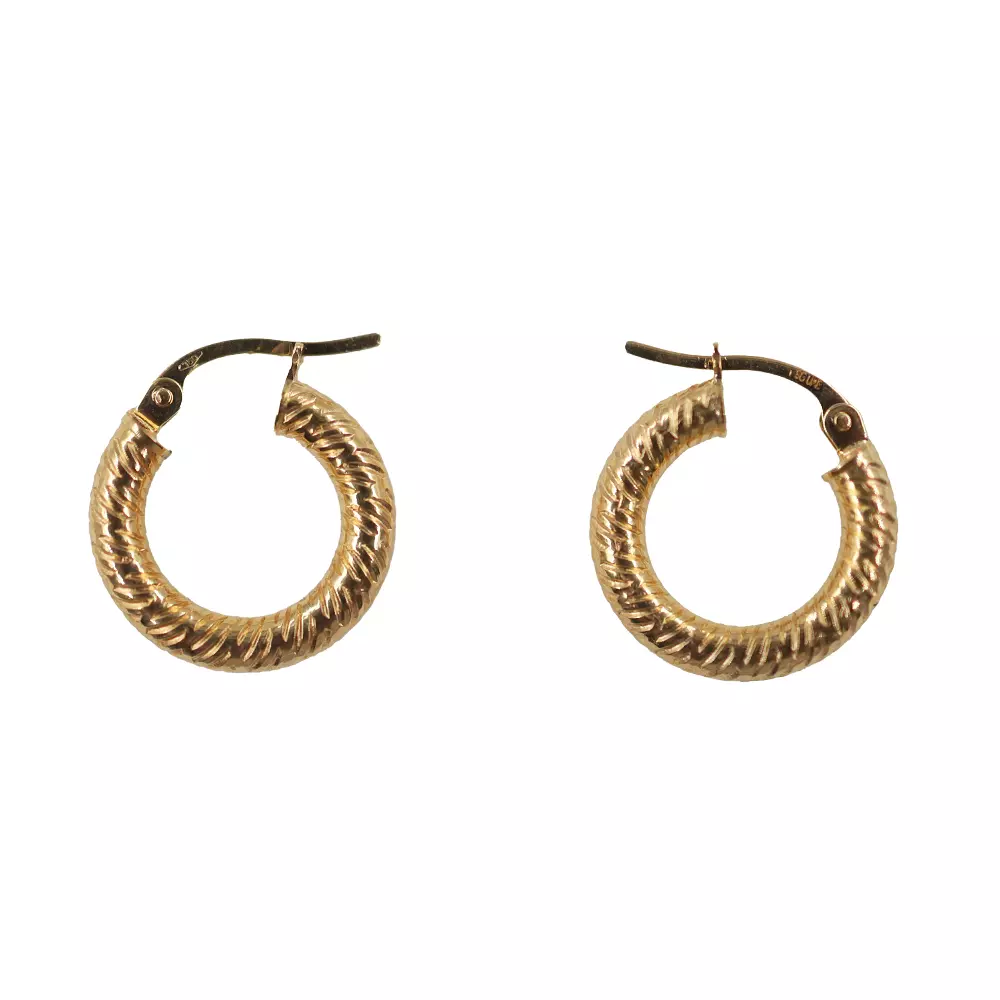 Stripe Loop Earrings