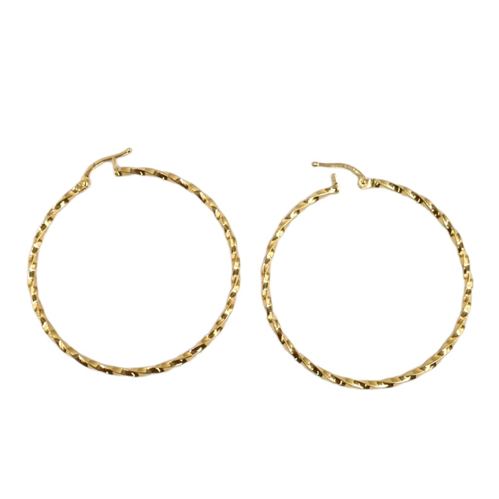 Spiral Round Loop Earring