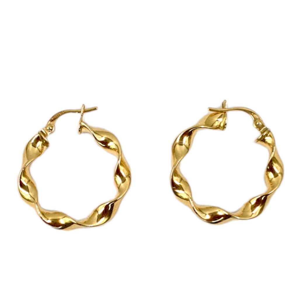 Twisted Round Loop Earring